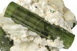 Verdelite Tourmaline, Albite & Muscovite Association - Brazil #217530-2